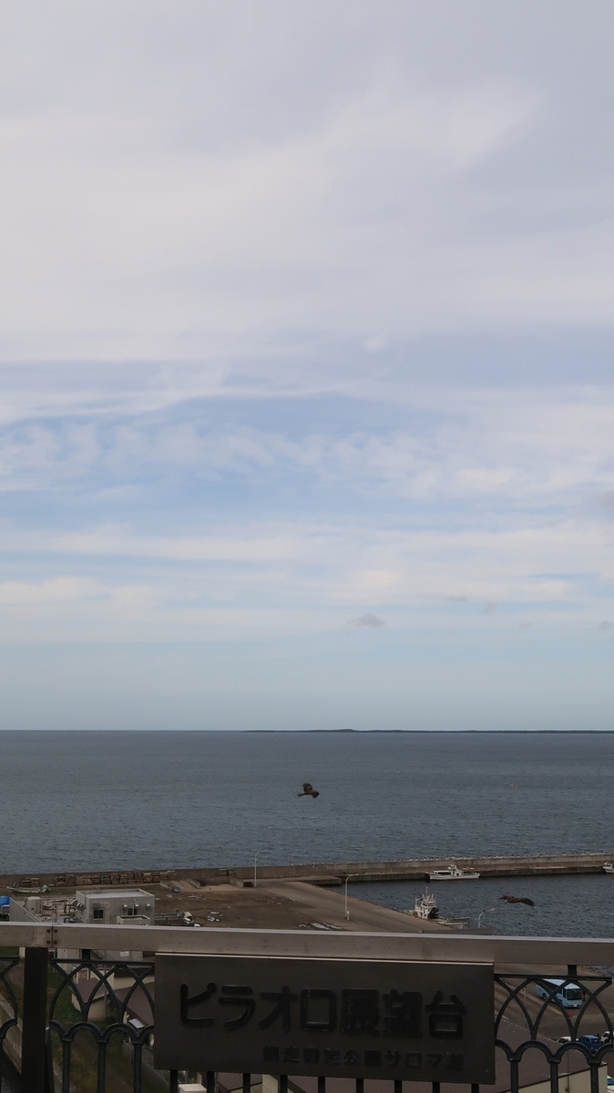 f:id:shirokumapanda:20210110212802j:plain