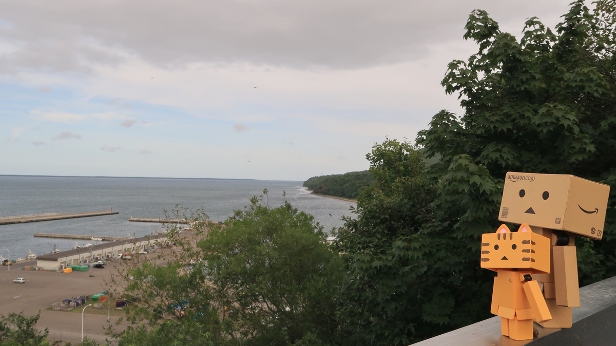 f:id:shirokumapanda:20210110212809j:plain