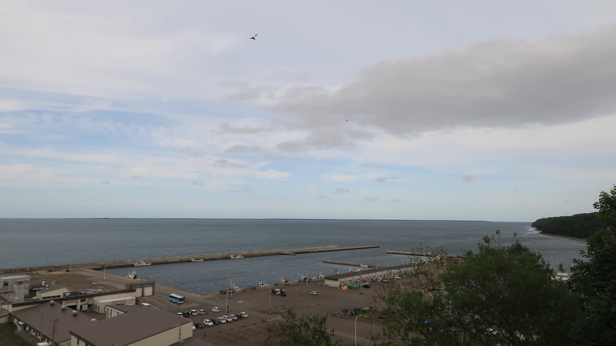 f:id:shirokumapanda:20210110212817j:plain