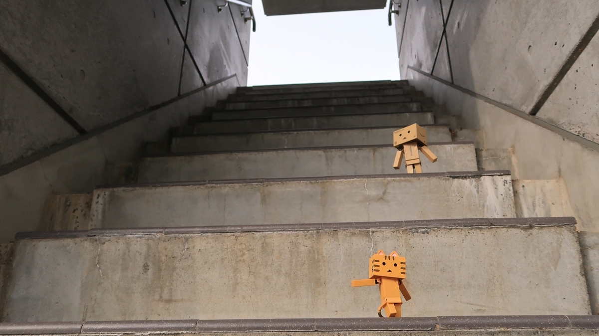 f:id:shirokumapanda:20210110212825j:plain