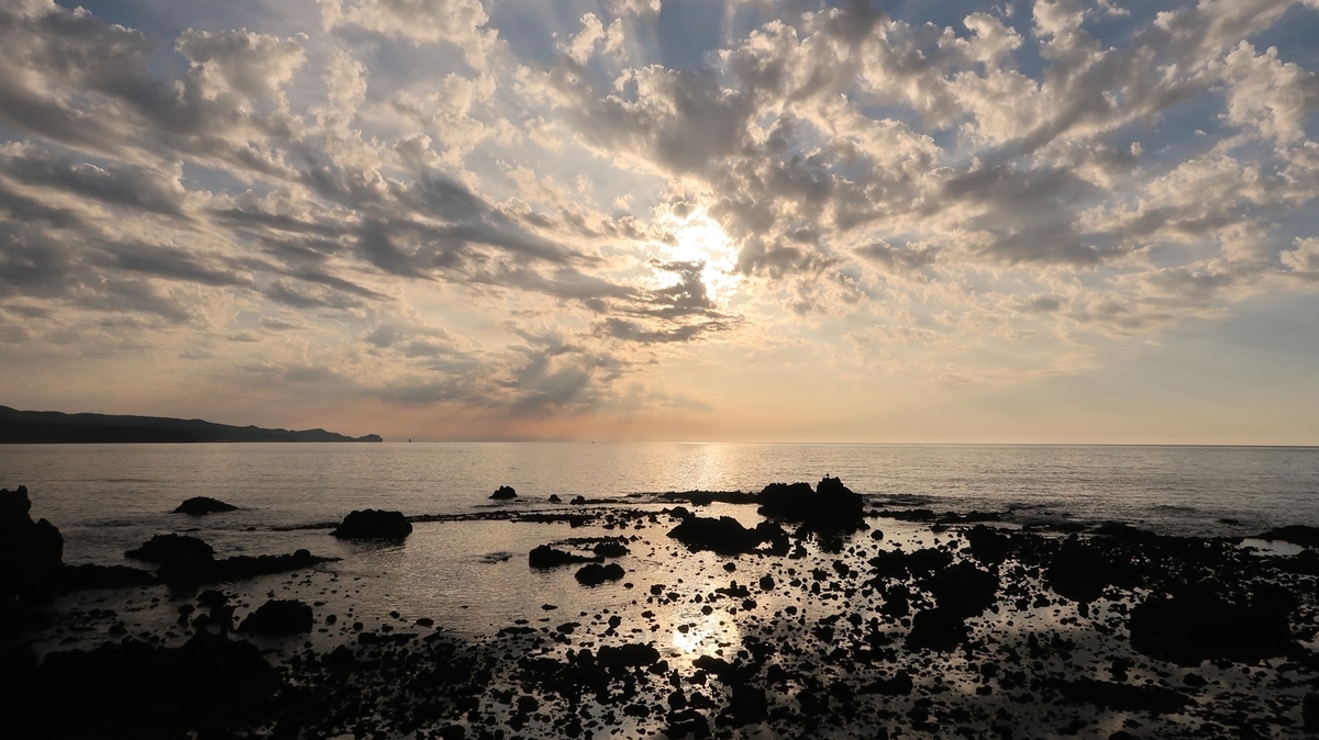 f:id:shirokumapanda:20210119234230j:plain