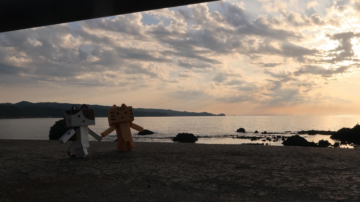 f:id:shirokumapanda:20210119234247j:plain