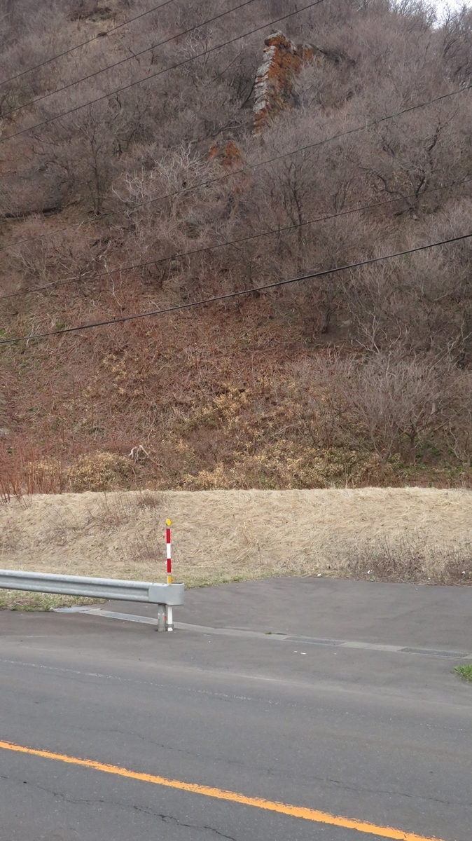f:id:shirokumapanda:20210128014140j:plain