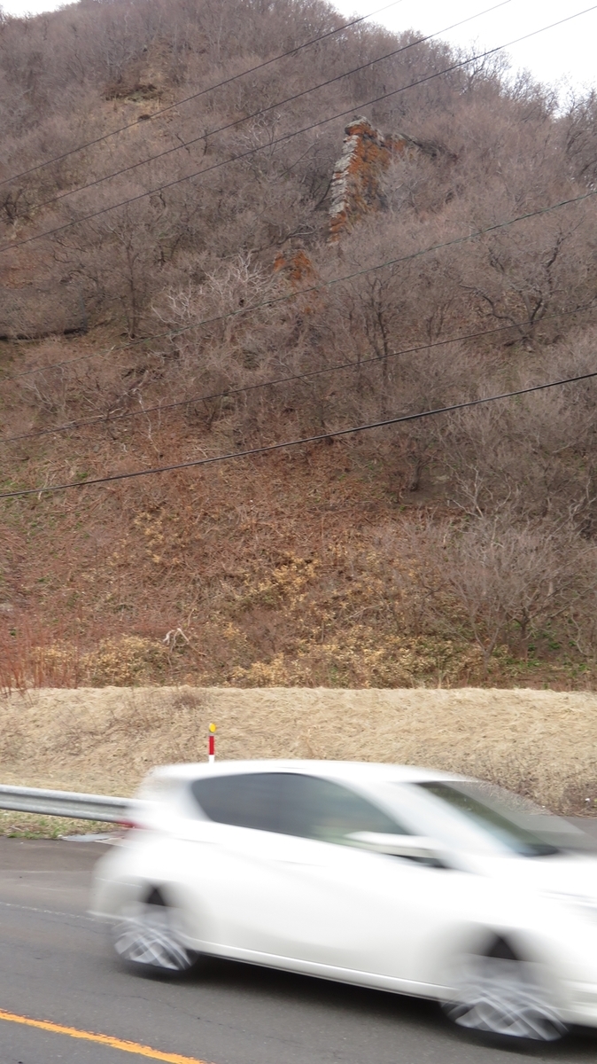 f:id:shirokumapanda:20210128014147j:plain