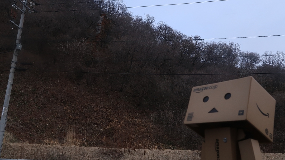 f:id:shirokumapanda:20210128014225j:plain