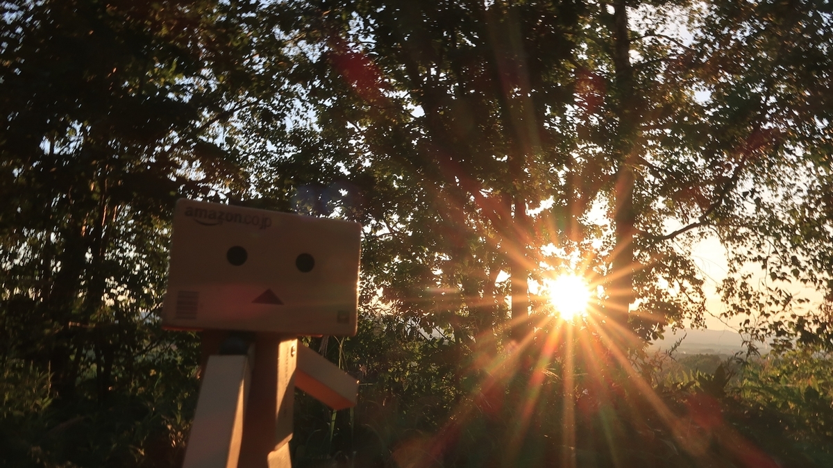 f:id:shirokumapanda:20210130023150j:plain