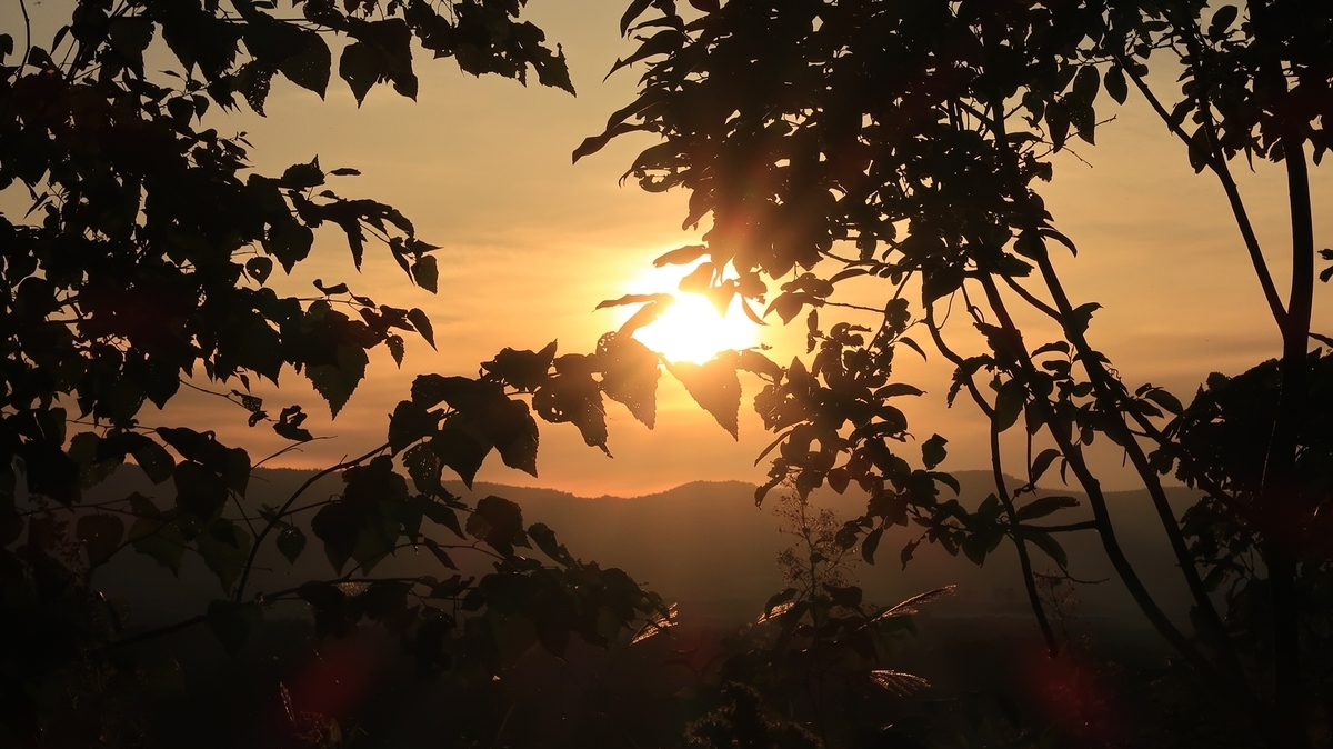 f:id:shirokumapanda:20210130023204j:plain