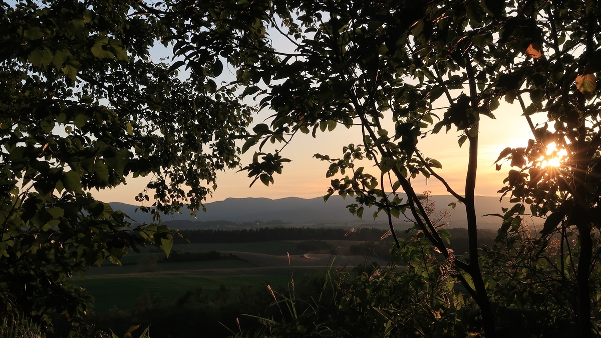 f:id:shirokumapanda:20210130023211j:plain