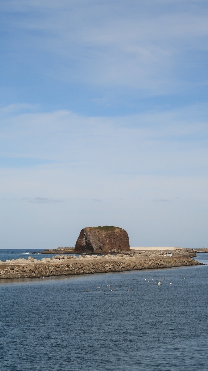 f:id:shirokumapanda:20210201224233j:plain