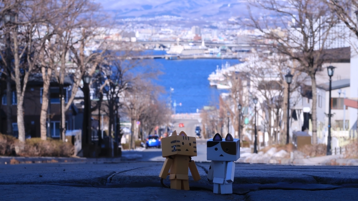 f:id:shirokumapanda:20210309234730j:plain