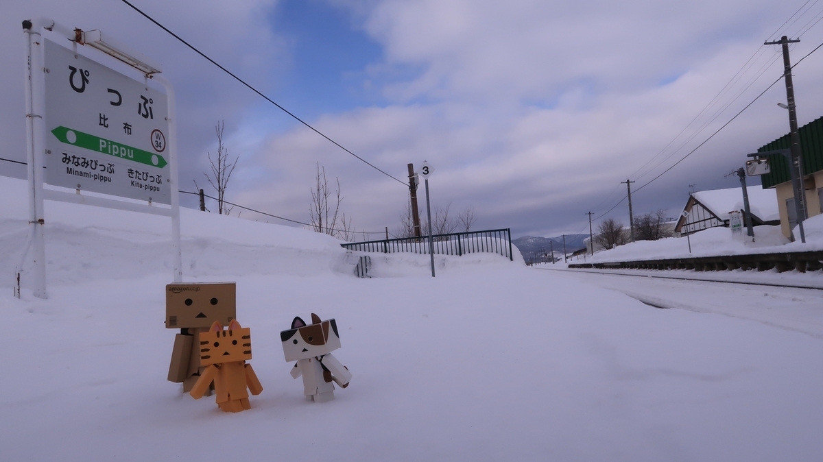 f:id:shirokumapanda:20210312011229j:plain