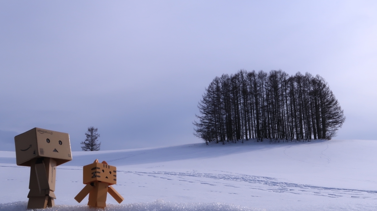f:id:shirokumapanda:20210315222107j:plain