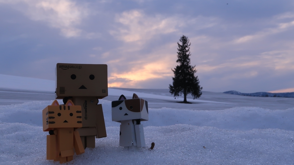 f:id:shirokumapanda:20210315222150j:plain