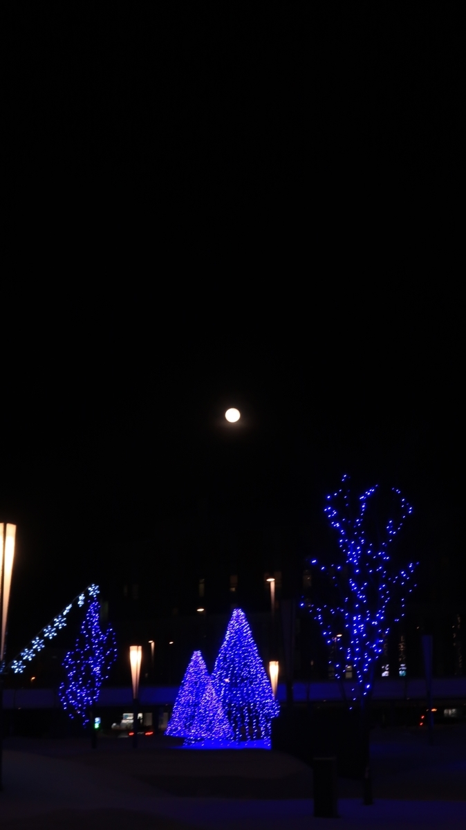 f:id:shirokumapanda:20210316235614j:plain