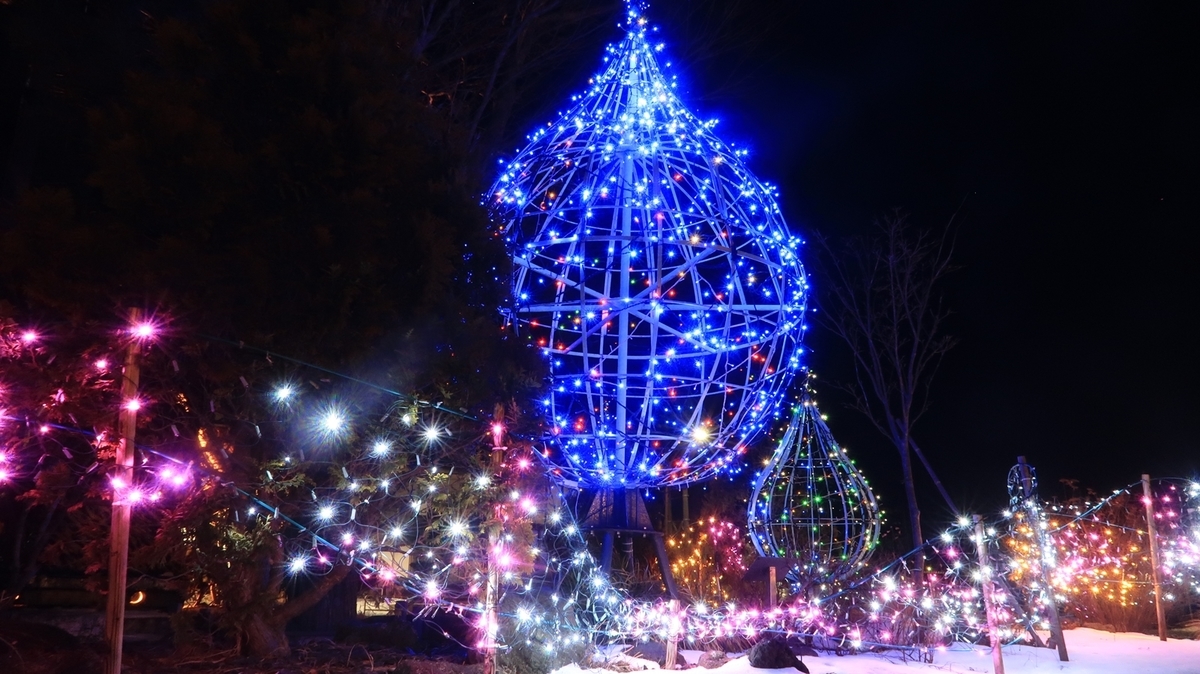 f:id:shirokumapanda:20210326004528j:plain