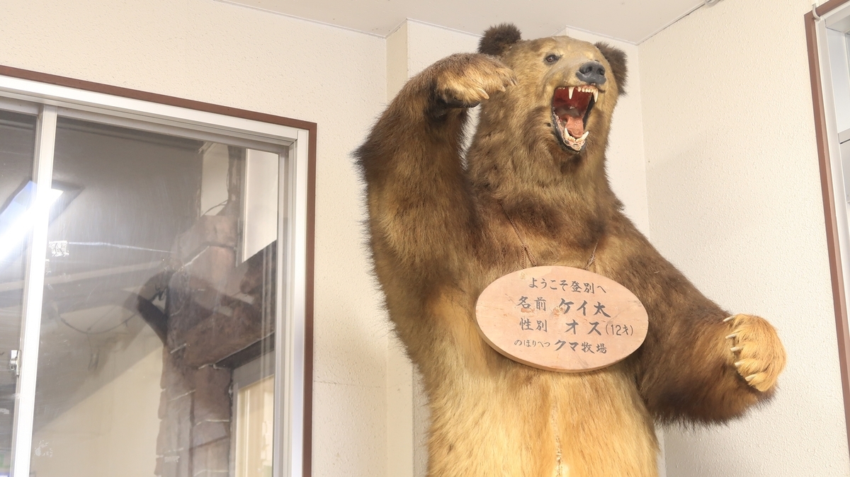 f:id:shirokumapanda:20210326004547j:plain