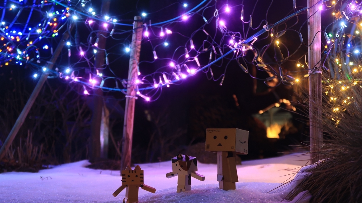 f:id:shirokumapanda:20210326004605j:plain