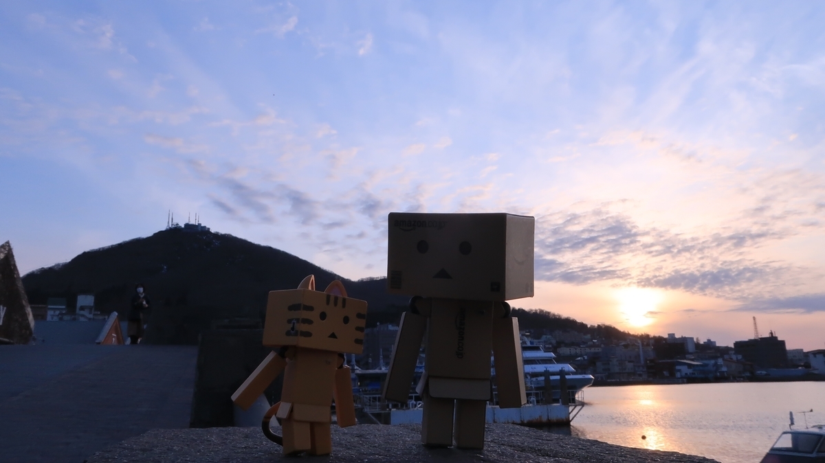 f:id:shirokumapanda:20210329012638j:plain