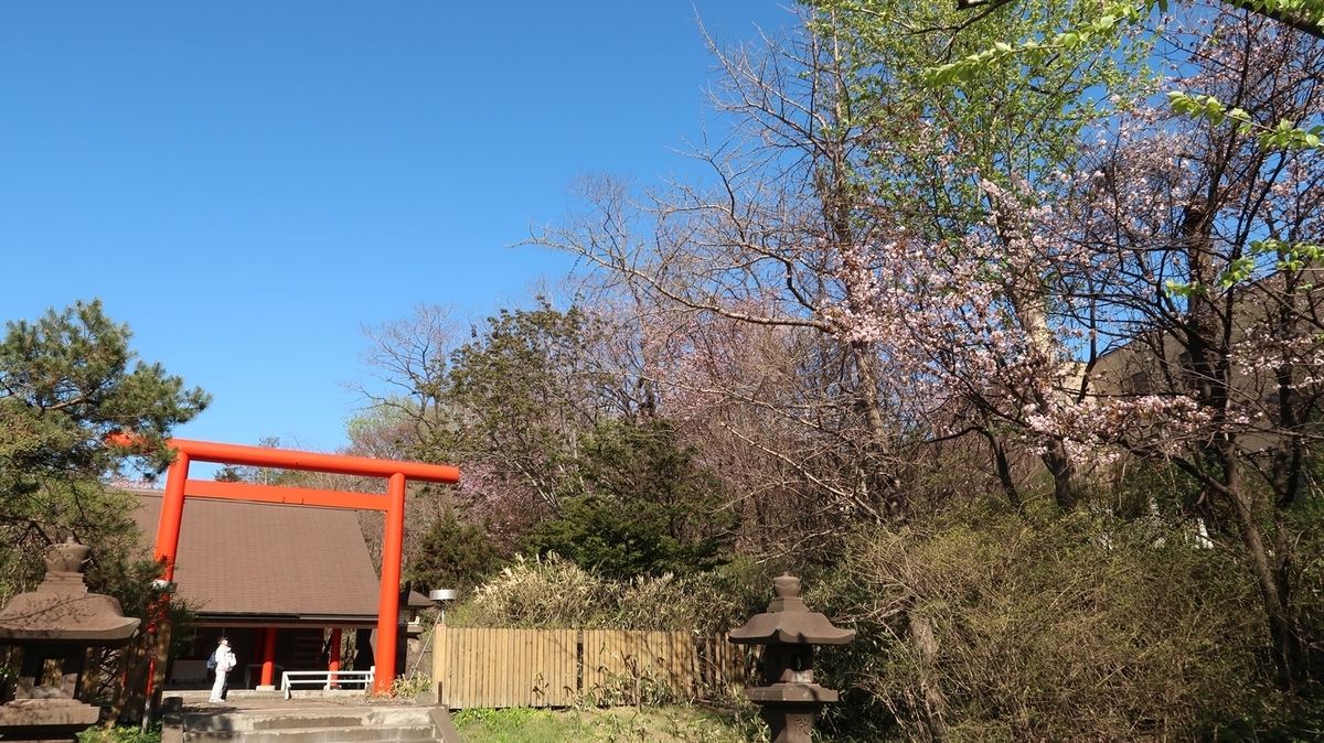 f:id:shirokumapanda:20210401234448j:plain