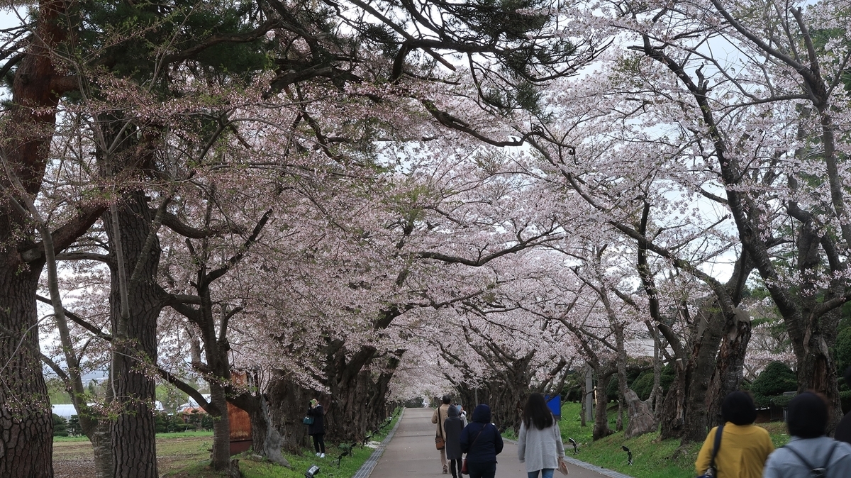 f:id:shirokumapanda:20210418235331j:plain