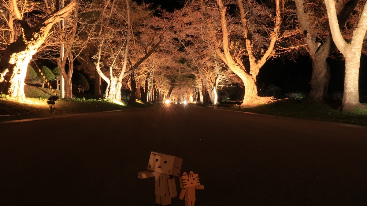 f:id:shirokumapanda:20210419233501j:plain