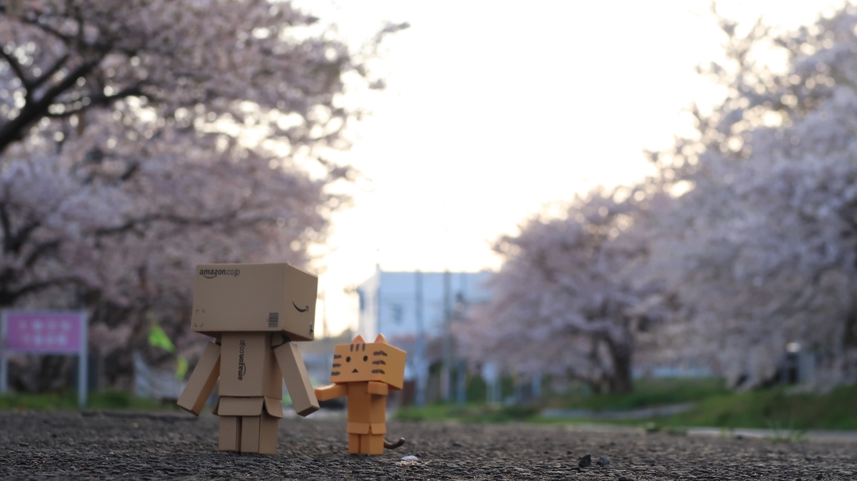 f:id:shirokumapanda:20210419234321j:plain