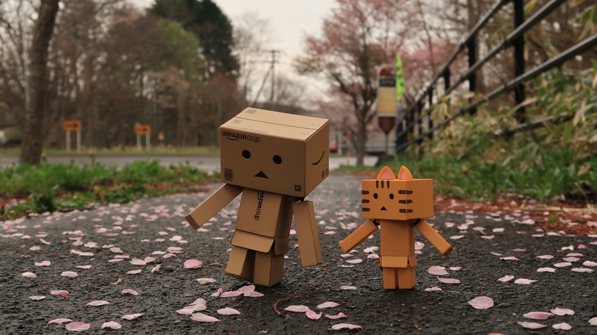 f:id:shirokumapanda:20210421221655j:plain
