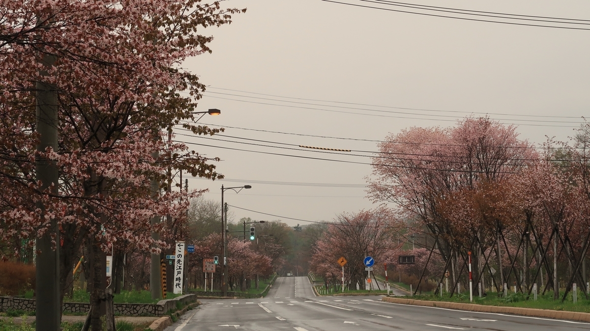 f:id:shirokumapanda:20210421221725j:plain