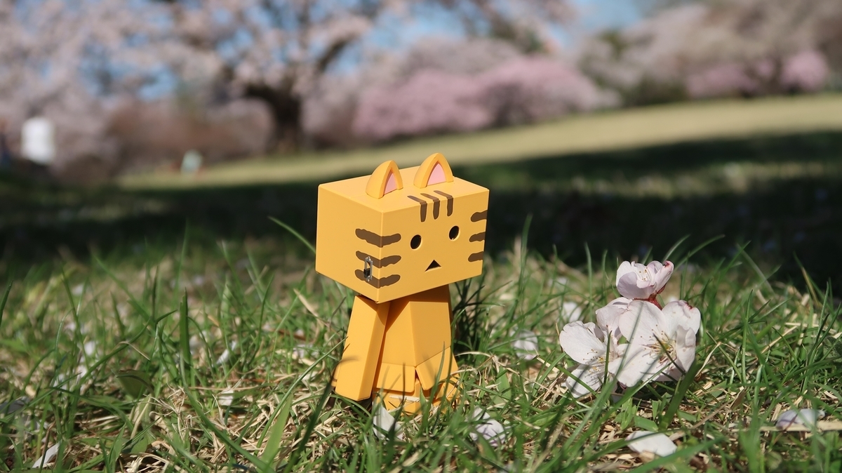 f:id:shirokumapanda:20210426230138j:plain