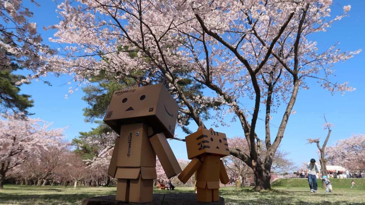 f:id:shirokumapanda:20210426230201j:plain