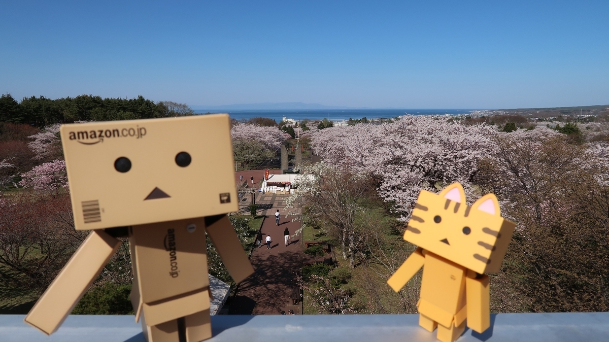 f:id:shirokumapanda:20210429005100j:plain