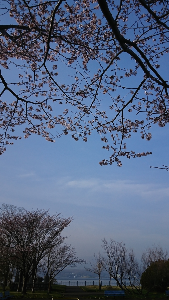 f:id:shirokumapanda:20210501232450j:plain