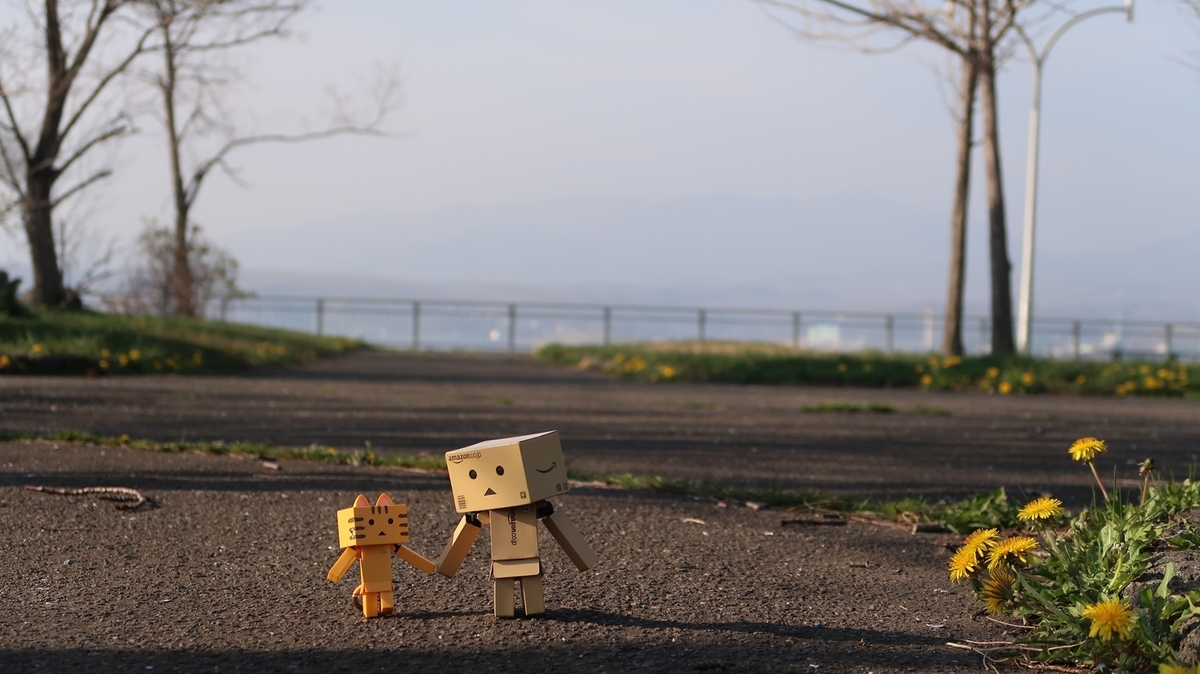 f:id:shirokumapanda:20210501232530j:plain