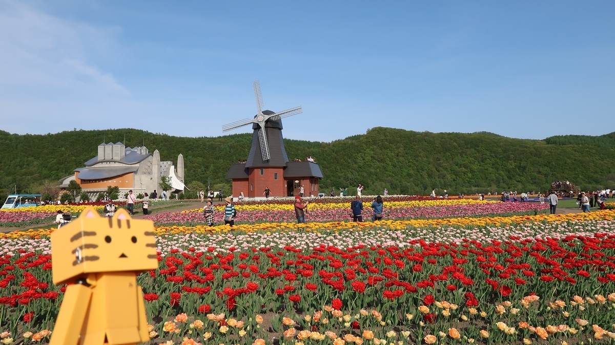 湧別町 北海道最高クラスのチューリップ園 かみゆうべつチューリップ公園 北海道ミテミル イッテミル 北海道観光スポット巡り旅 湧別町 北海道最高クラスのチューリップ園 かみゆうべつチューリップ公園 北海道ミテミル イッテミル 北海道観光スポット巡り旅