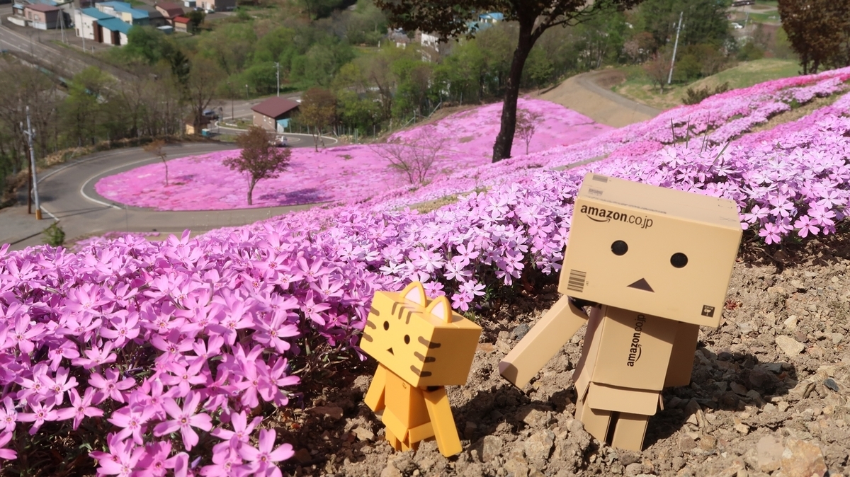 f:id:shirokumapanda:20210525232419j:plain