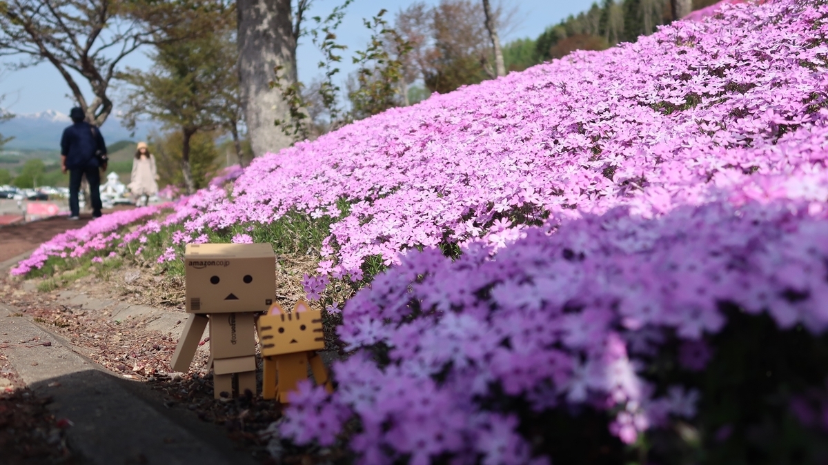 f:id:shirokumapanda:20210525232502j:plain