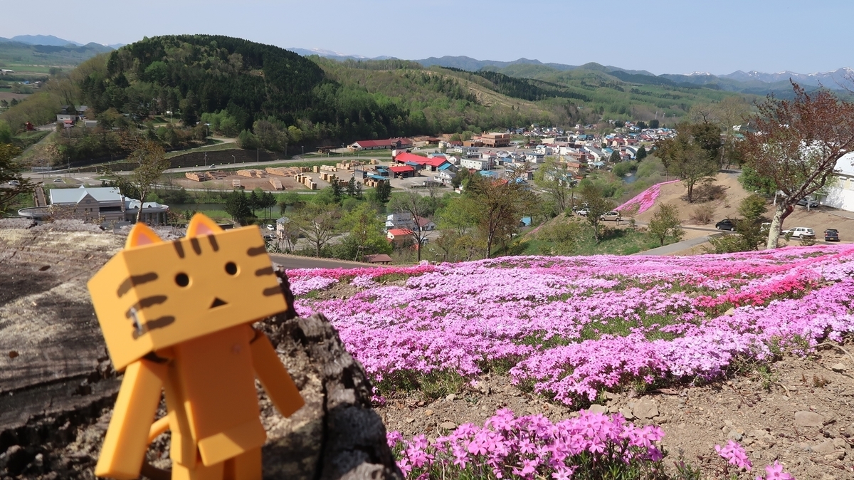 f:id:shirokumapanda:20210525232508j:plain