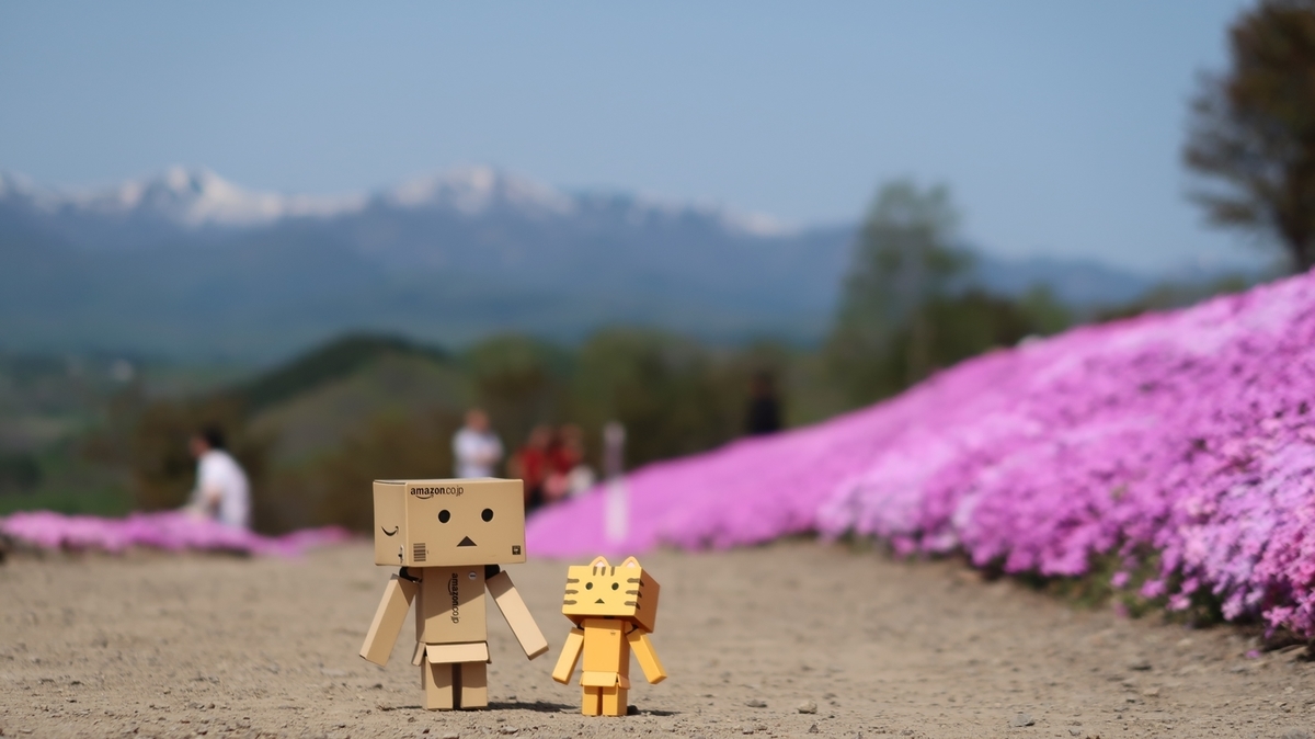 f:id:shirokumapanda:20210525232613j:plain