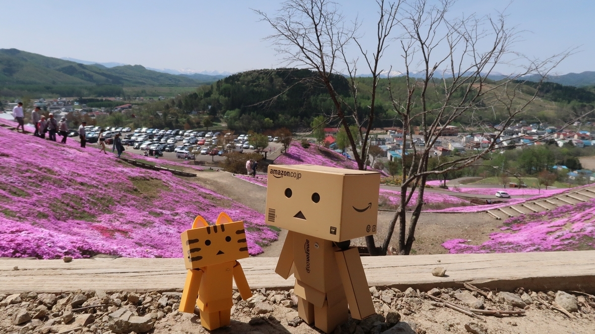 f:id:shirokumapanda:20210525232717j:plain