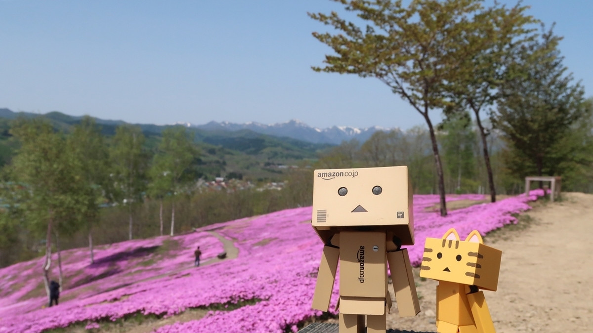 f:id:shirokumapanda:20210525232734j:plain