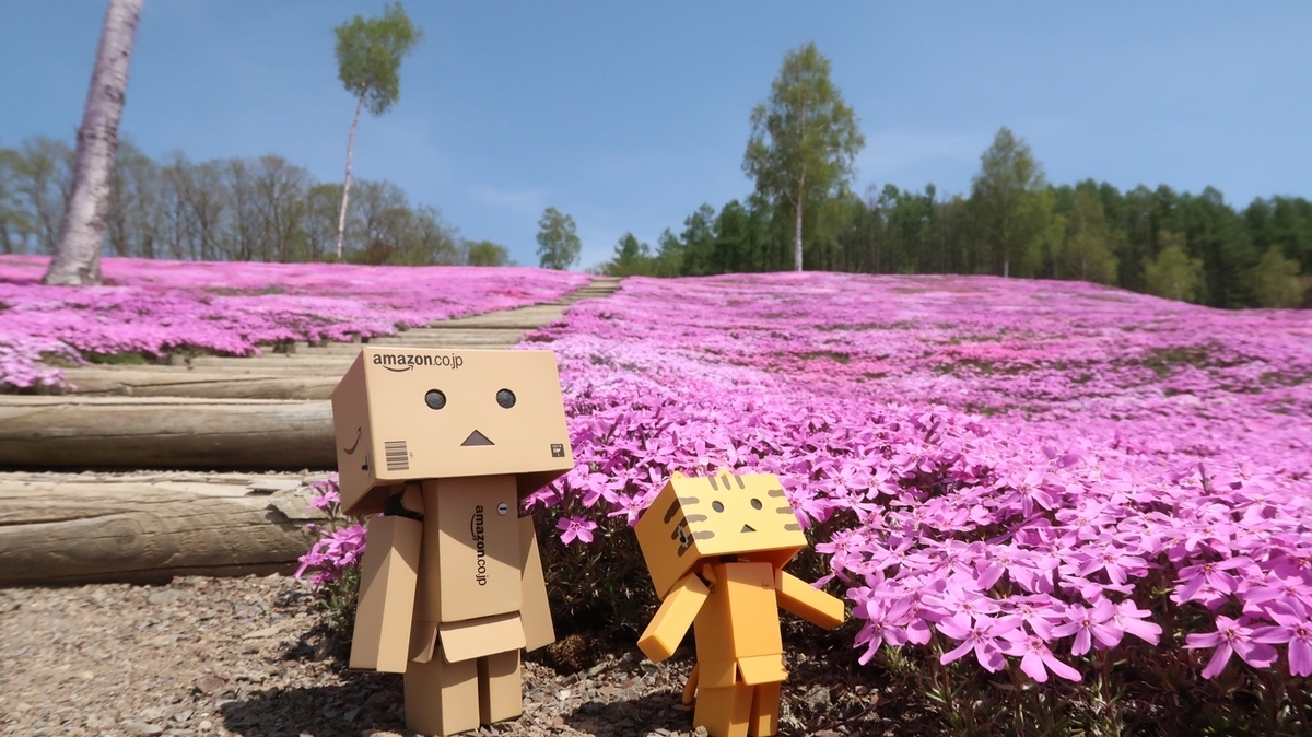 f:id:shirokumapanda:20210525232825j:plain