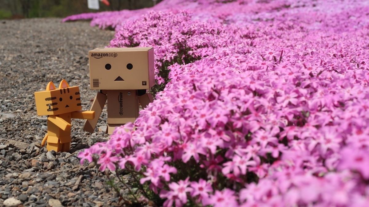 f:id:shirokumapanda:20210525232831j:plain