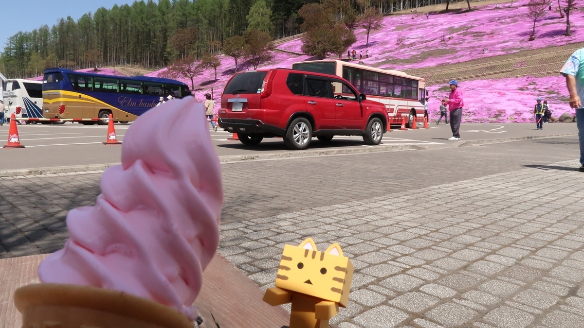 f:id:shirokumapanda:20210525232915j:plain