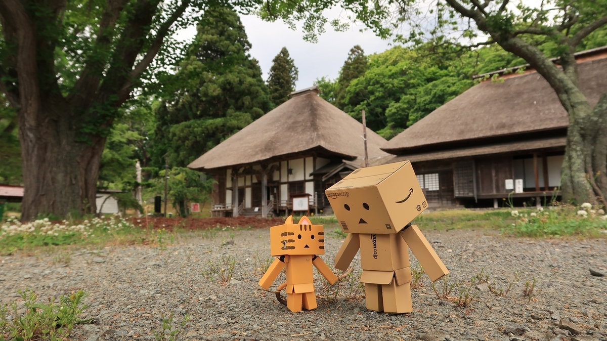 f:id:shirokumapanda:20210603224613j:plain