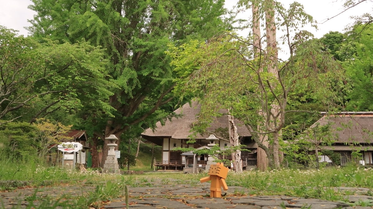 f:id:shirokumapanda:20210603224642j:plain