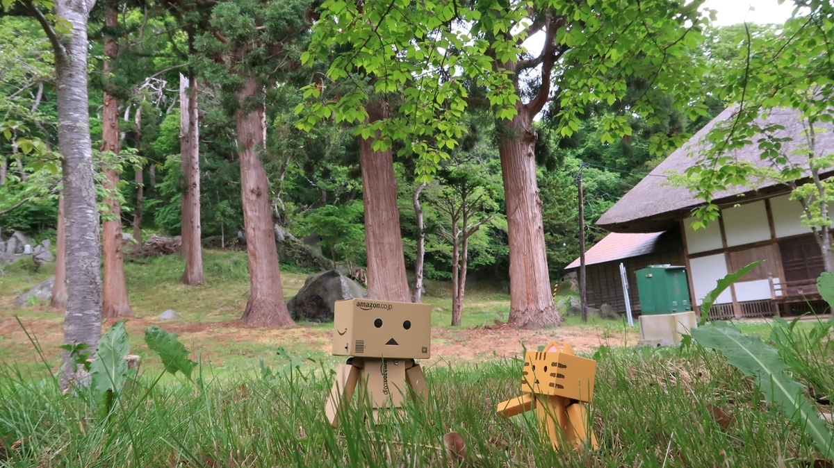 f:id:shirokumapanda:20210603224701j:plain