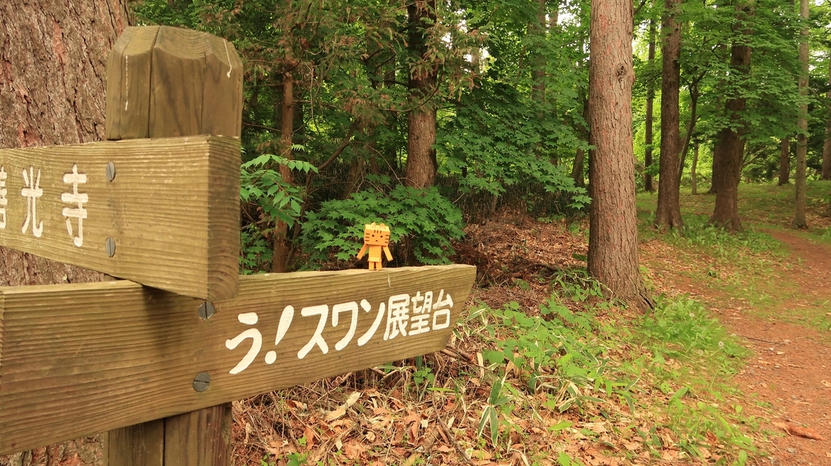 f:id:shirokumapanda:20210603224744j:plain