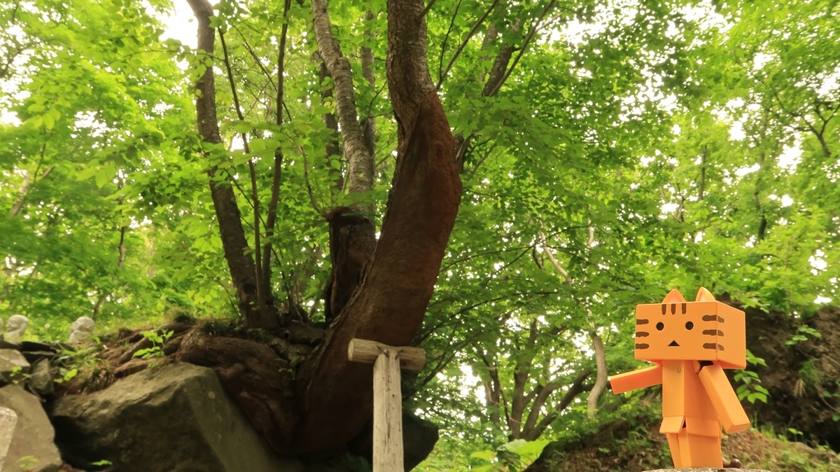 f:id:shirokumapanda:20210603224824j:plain