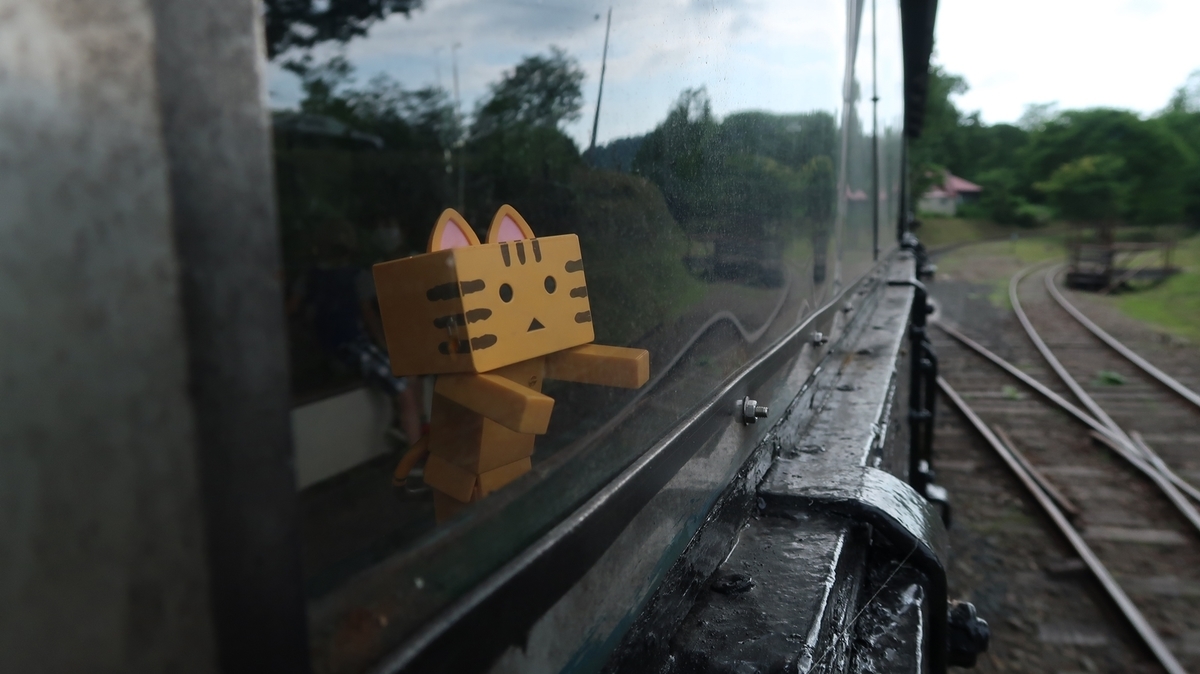 f:id:shirokumapanda:20210617004503j:plain