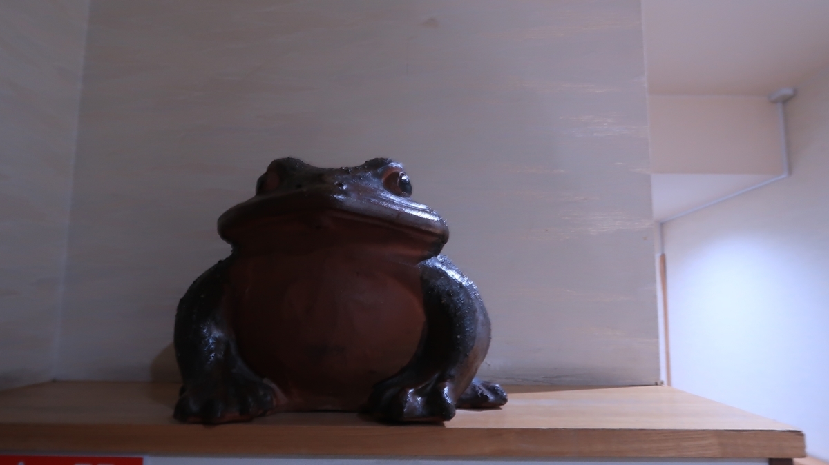 f:id:shirokumapanda:20210623002535j:plain